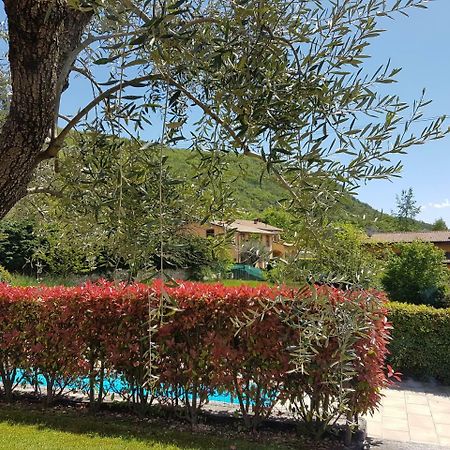 Appartamento Casa Minerva Albisano Esterno foto